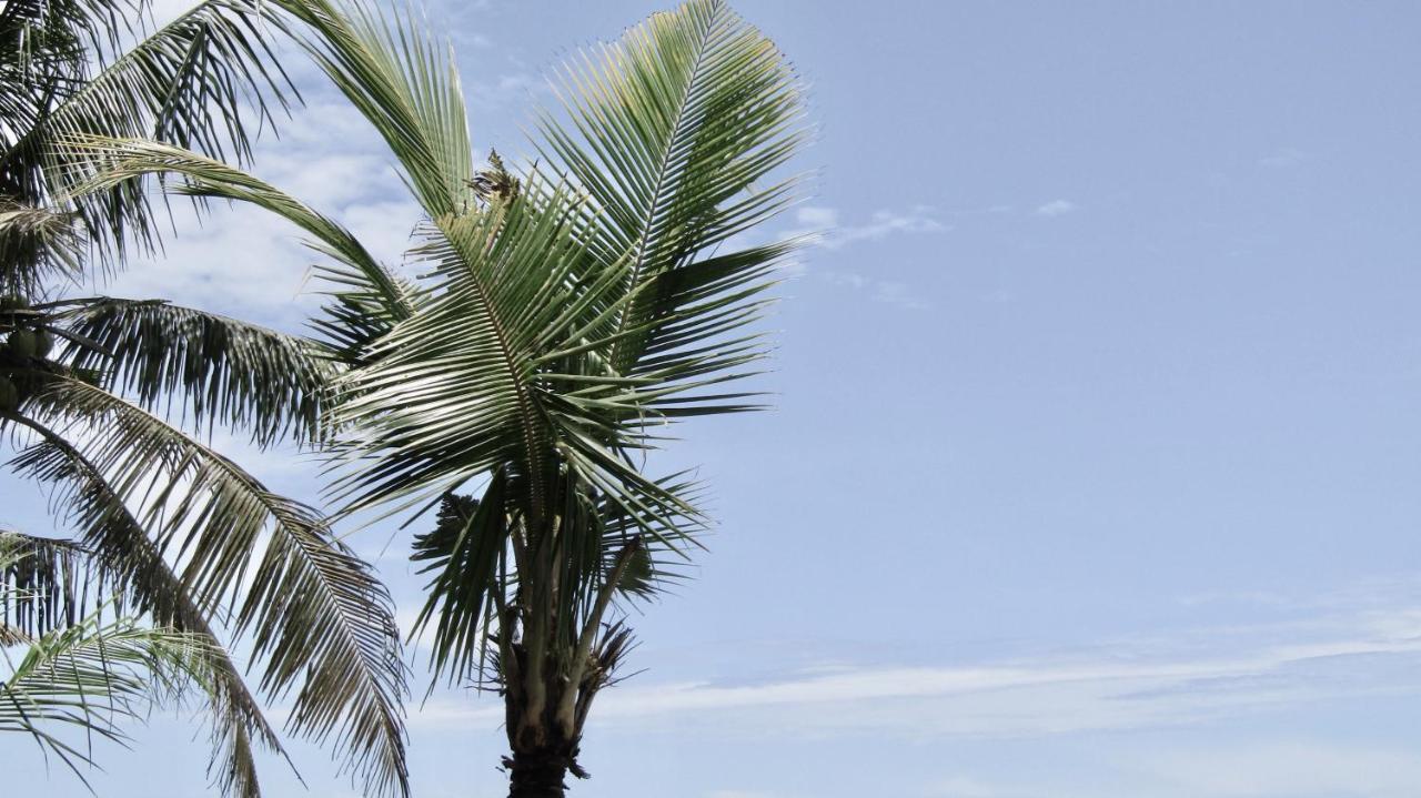 Dikaloha Surfschool And Stay Airsatang 외부 사진