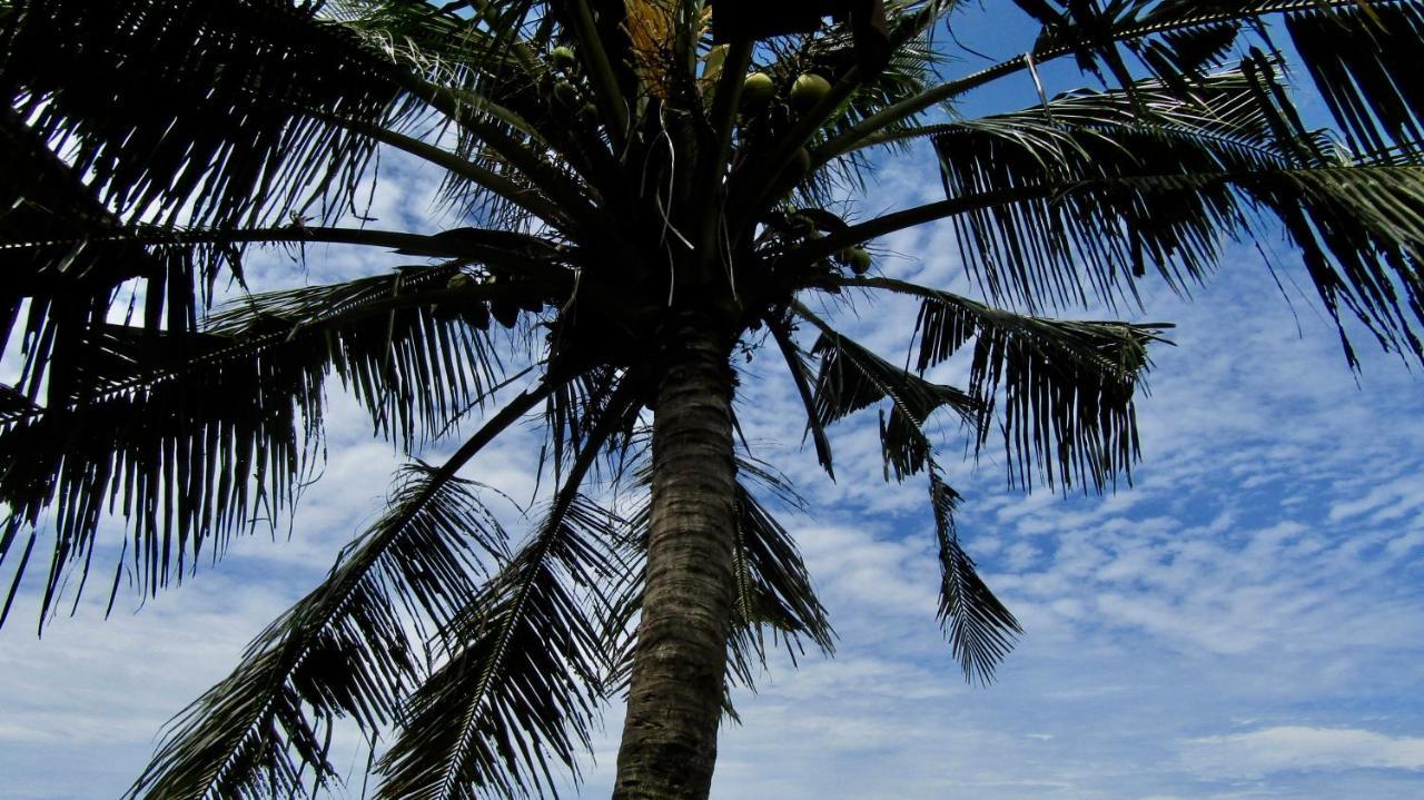 Dikaloha Surfschool And Stay Airsatang 외부 사진