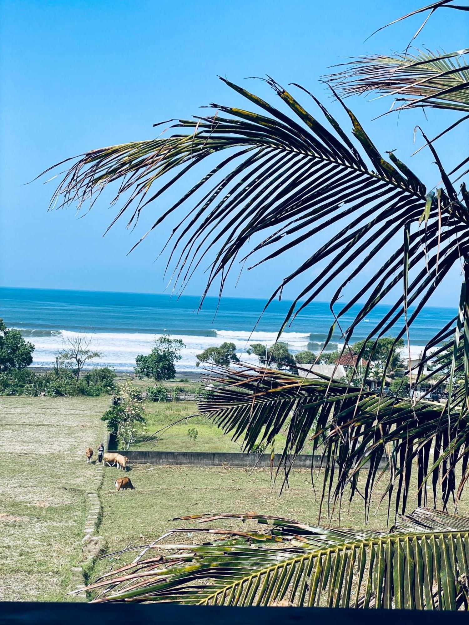 Dikaloha Surfschool And Stay Airsatang 외부 사진